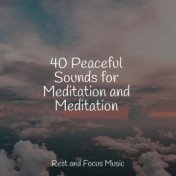 40 Peaceful Sounds for Meditation and Meditation