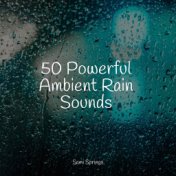 50 Powerful Ambient Rain Sounds
