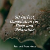 50 Perfect Compilation for Sleep and Relaxation