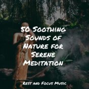 50 Soothing Sounds of Nature for Serene Meditation
