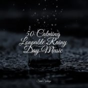 50 Calming Loopable Rainy Day Music