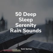 50 Deep Sleep Serenity Rain Sounds