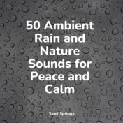 50 Ambient Rain and Nature Sounds for Peace and Calm