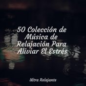 50 Colección de Música de Relajación Para Aliviar El Estrés