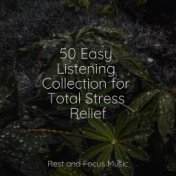 50 Easy Listening Collection for Total Stress Relief