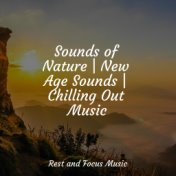 Sounds of Nature | New Age Sounds | Chilling Out Music