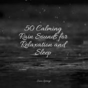 50 Sounds of Rain for Sleep and Serenity