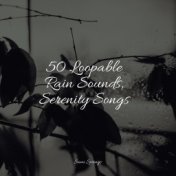 50 Loopable Rain Sounds, Serenity Songs