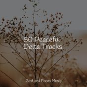50 Peaceful Delta Tracks