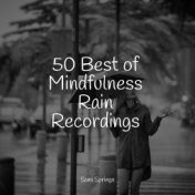50 Best of Mindfulness Rain Recordings