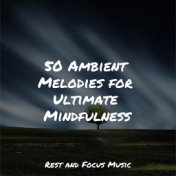 50 Ambient Melodies for Ultimate Mindfulness