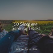 50 Sleep and Serenity Tracks