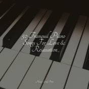 50 Tranquil Piano Songs For Love & Relaxation