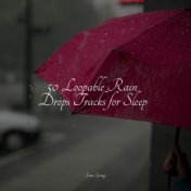 50 Loopable Rain Drops Tracks for Sleep