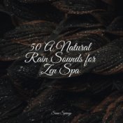 50 A Natural Rain Sounds for Zen Spa