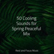 50 Cooling Sounds for Spring Peaceful Mix