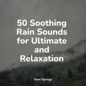 50 Soothing Rain Sounds for Ultimate and Relaxation