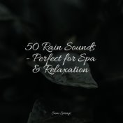 50 Rain Sounds - Perfect for Spa & Relaxation