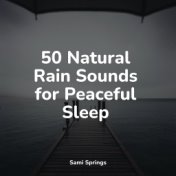 50 Natural Rain Sounds for Peaceful Sleep