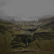 50 Relaxing Tracks to Relax and Relax the Sleep