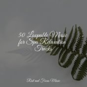 50 Loopable Music for Spa Relaxation Tracks