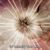 37 Detoxify Your Mind