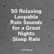 50 Relaxing Loopable Rain Sounds for a Great Nights Sleep Rain