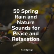 50 Spring Rain and Nature Sounds for Peace and Relaxation