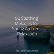 50 Soothing Melodies for Spring Ambient Relaxation