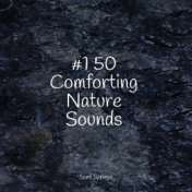 #1 50 Comforting Nature Sounds