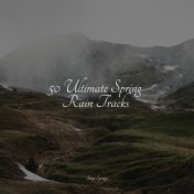50 Ultimate Spring Rain Tracks