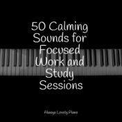 50 Calming Sounds for Focused Work and Study Sessions