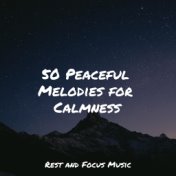 50 Peaceful Melodies for Calmness