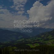 #50 Calming Melodies for Sleep