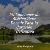 50 Canciones de Música Para Dormir Para la Curación Definitiva