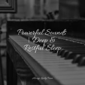 Powerful Sounds | Deep & Restful Sleep