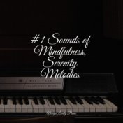 #1 Sounds of Mindfulness, Serenity Melodies