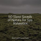 50 Sleep Sounds of Nature for Spa Relaxation