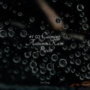 #1 50 Calming Autumn Rain Pieces