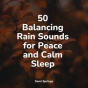 50 Balancing Rain Sounds for Peace and Calm Sleep