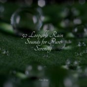 50 Loopable Rain Sounds for Pure Serenity