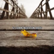 42 Calming Meditation Tracks