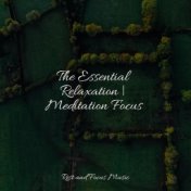 The Essential Relaxation | Meditation Focus