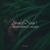 Sounds of Nature | Thunderstorm Collection