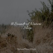 #Sounds of Nature | Sleep