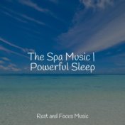 The Spa Music | Powerful Sleep