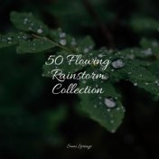 50 Calming Ambient Rain Sounds