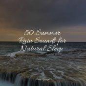 50 Summer Rain Sounds for Natural Sleep