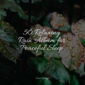50 Relaxing Rain Album for Peaceful Sleep
