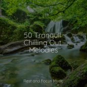 50 Tranquil Chilling Out Melodies